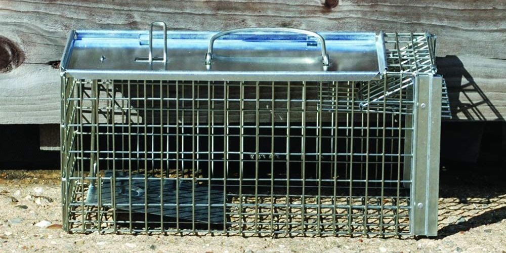 trampa inteligen Trampa para ratones reutilizable jaula para ratas 